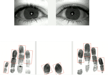 biometria1